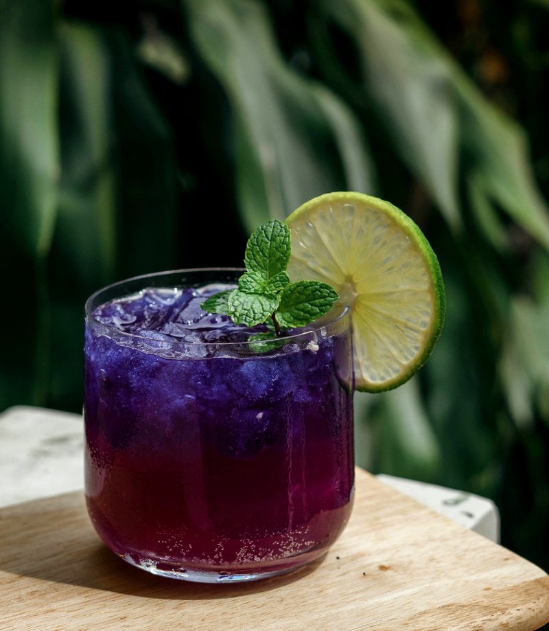 «Bramble Smash» aux bleuets sauvages Picture