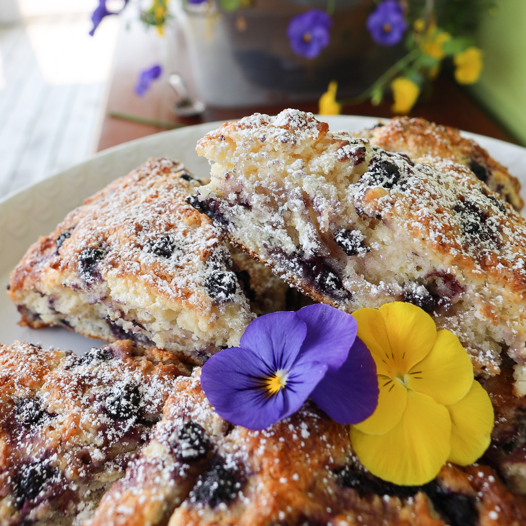 Rustic Wild Blueberry Fusion Scones Picture